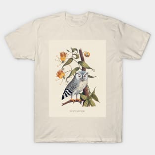 Owl Antique Naturalist Illustration T-Shirt